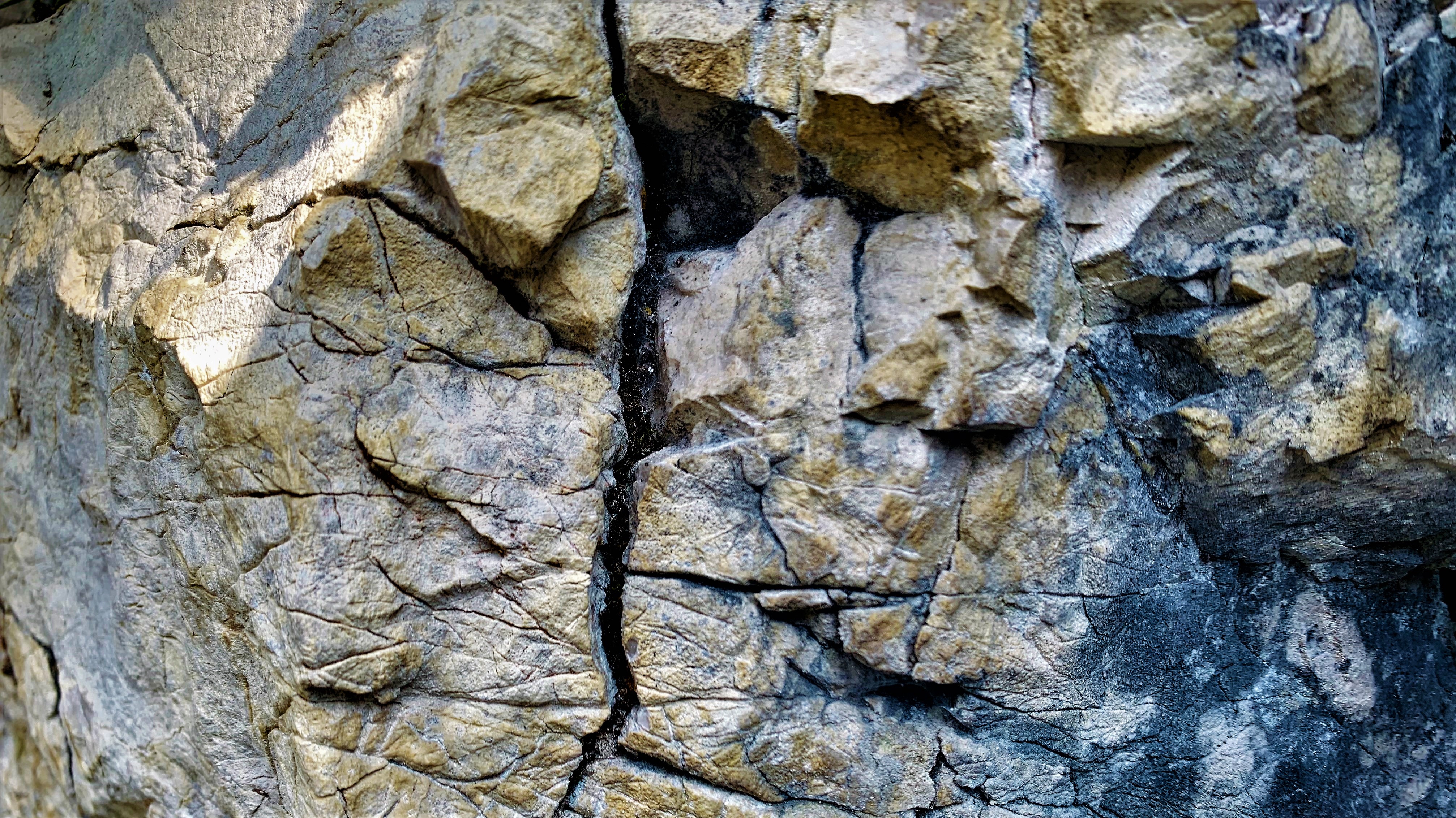 STONE 8